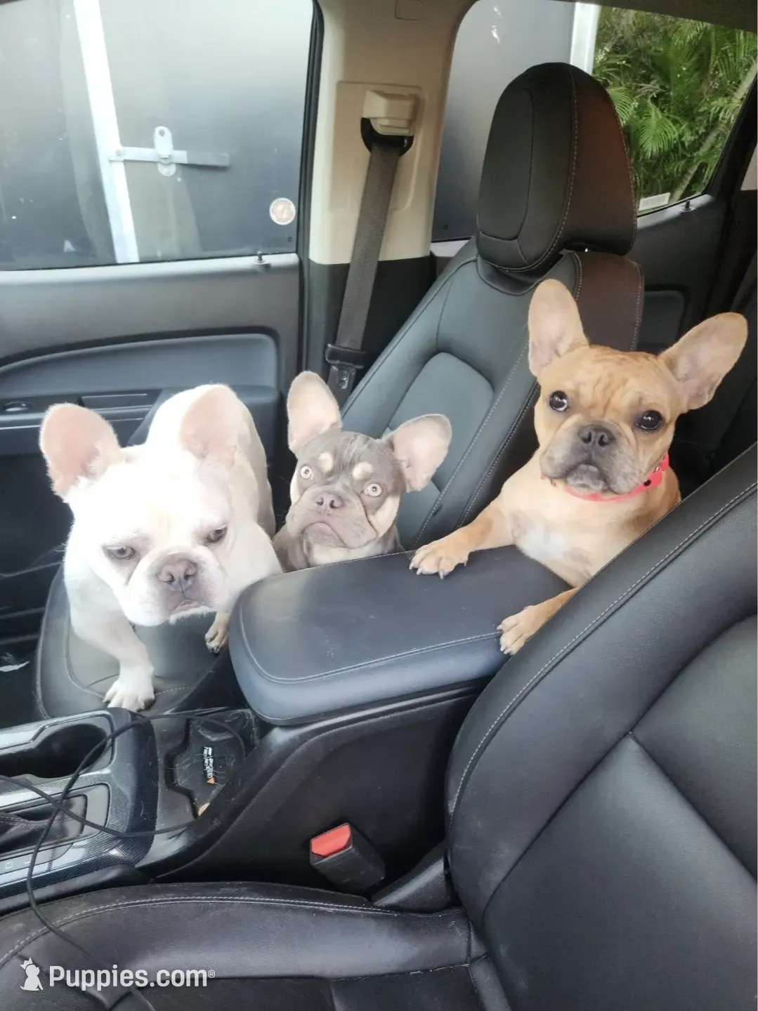 processed/bd022070-8aac-4312-953a-5ab36a80d9e2/listing/50f98e43-d3f1-4c40-afa2-b6c54a3091cc/658c8ae7-282a-4a3d-8f6b-605f90c23e06