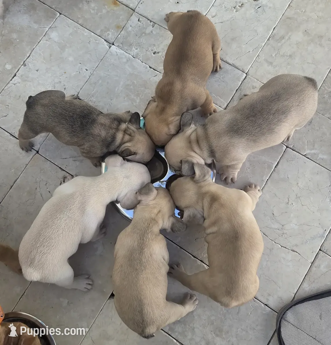 processed/bd022070-8aac-4312-953a-5ab36a80d9e2/listing/50f98e43-d3f1-4c40-afa2-b6c54a3091cc/c651b3a6-4ed0-47b8-9dd6-17c15fb3b180