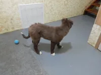 processed/bd06d58e-1a4f-4fb2-aaa4-27efe063b167/listing/8e69daee-271f-463c-9ccf-3145f63d8e96/0d6e5b94-d2db-405b-a07f-08cfc08819a7