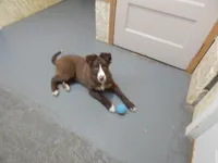 processed/bd06d58e-1a4f-4fb2-aaa4-27efe063b167/listing/8e69daee-271f-463c-9ccf-3145f63d8e96/56b1cee3-8bf8-40b9-9673-031b1f3a26fe