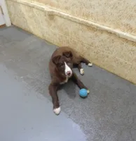 processed/bd06d58e-1a4f-4fb2-aaa4-27efe063b167/listing/8e69daee-271f-463c-9ccf-3145f63d8e96/8f6d0908-816d-4817-a0d6-62444907d6ea