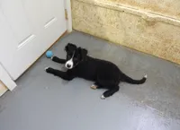 processed/bd06d58e-1a4f-4fb2-aaa4-27efe063b167/listing/d638c523-f031-40ac-99ed-3ac2e6d94ba4/5a83d5ea-e301-4fa0-ad19-5d417eae5134