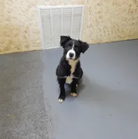 processed/bd06d58e-1a4f-4fb2-aaa4-27efe063b167/listing/d638c523-f031-40ac-99ed-3ac2e6d94ba4/afc5d264-c121-4acb-a3d5-77bdd1bd1bb1