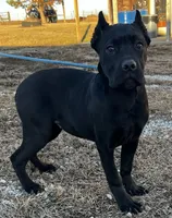 processed/bd098863-2c73-4da3-ab23-b7b6e696f628/listing/07b07b2f-540c-48ef-bfee-925d9eef9b8a/3a9f5248-d579-4e2a-91ff-cf037f9f3c42