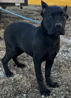 processed/bd098863-2c73-4da3-ab23-b7b6e696f628/listing/07b07b2f-540c-48ef-bfee-925d9eef9b8a/3c42a611-f8f6-4e6e-9f1d-d657d8a2513e