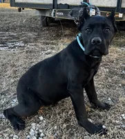 processed/bd098863-2c73-4da3-ab23-b7b6e696f628/listing/07b07b2f-540c-48ef-bfee-925d9eef9b8a/94aed054-5de7-4e36-977d-adb104ece882