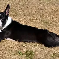 processed/bd1a1b26-e8a7-4cde-8e6b-a82d946fb78e/facility/0508b7cf-b3c7-4c01-99ea-134f8d8b64cc