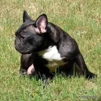 processed/bd1a1b26-e8a7-4cde-8e6b-a82d946fb78e/facility/1128f495-96a6-465b-beae-8d71bcbe6408