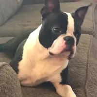 processed/bd1a1b26-e8a7-4cde-8e6b-a82d946fb78e/facility/2ea994d2-769b-4ef1-8f73-aa634b9b7f8e