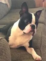 processed/bd1a1b26-e8a7-4cde-8e6b-a82d946fb78e/facility/2ea994d2-769b-4ef1-8f73-aa634b9b7f8e