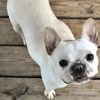 processed/bd1a1b26-e8a7-4cde-8e6b-a82d946fb78e/facility/42fd4915-19ca-47e8-816c-030503d871ae