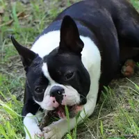 processed/bd1a1b26-e8a7-4cde-8e6b-a82d946fb78e/facility/51282737-0f69-41b1-88af-fdc84edcdc5e