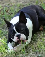 processed/bd1a1b26-e8a7-4cde-8e6b-a82d946fb78e/facility/51282737-0f69-41b1-88af-fdc84edcdc5e