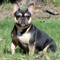 processed/bd1a1b26-e8a7-4cde-8e6b-a82d946fb78e/facility/63bef8bf-4df4-4eb5-b290-52c42ccb10de