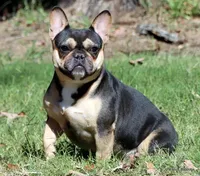 processed/bd1a1b26-e8a7-4cde-8e6b-a82d946fb78e/facility/63bef8bf-4df4-4eb5-b290-52c42ccb10de