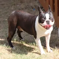 processed/bd1a1b26-e8a7-4cde-8e6b-a82d946fb78e/facility/6c65f443-0a58-4f99-9501-2eeba36908e8