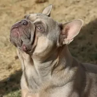 processed/bd1a1b26-e8a7-4cde-8e6b-a82d946fb78e/facility/70bb9c90-fe33-4897-9694-12cba00a78f9