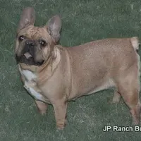 processed/bd1a1b26-e8a7-4cde-8e6b-a82d946fb78e/facility/cb3eee26-09fe-4587-b4d3-5a9464098a3a