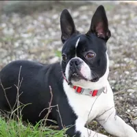 processed/bd1a1b26-e8a7-4cde-8e6b-a82d946fb78e/facility/ef4761f9-b82d-488f-be59-dcd6d08c6657