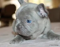 processed/bd1a1b26-e8a7-4cde-8e6b-a82d946fb78e/listing/98c4eb65-1047-4593-acac-6843d9f02a42/20497f75-0267-44d6-9101-cca8d686a3f1