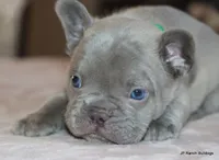 processed/bd1a1b26-e8a7-4cde-8e6b-a82d946fb78e/listing/98c4eb65-1047-4593-acac-6843d9f02a42/a3edaeee-695b-43b7-8f75-77a2a82fb84f