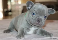 processed/bd1a1b26-e8a7-4cde-8e6b-a82d946fb78e/listing/98c4eb65-1047-4593-acac-6843d9f02a42/cb47429e-2c96-4973-ab36-984316583e62