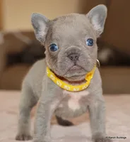 processed/bd1a1b26-e8a7-4cde-8e6b-a82d946fb78e/listing/accd9ebe-458e-4289-bce3-a09487c5f156/48bbe6fc-9ce9-4c12-b3ad-cd3dd68b8f53