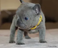 processed/bd1a1b26-e8a7-4cde-8e6b-a82d946fb78e/listing/accd9ebe-458e-4289-bce3-a09487c5f156/4f225952-8a7e-4c8e-b6a5-4d6cb04232ad