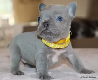 processed/bd1a1b26-e8a7-4cde-8e6b-a82d946fb78e/listing/accd9ebe-458e-4289-bce3-a09487c5f156/50843067-9b30-4578-9df0-7135cf8dde43