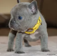 processed/bd1a1b26-e8a7-4cde-8e6b-a82d946fb78e/listing/accd9ebe-458e-4289-bce3-a09487c5f156/8ca0ee6e-a64d-442d-a24a-9b2d2e2f57dc