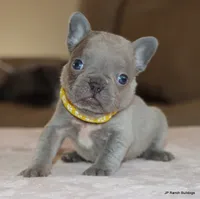 processed/bd1a1b26-e8a7-4cde-8e6b-a82d946fb78e/listing/accd9ebe-458e-4289-bce3-a09487c5f156/be2d657a-0f82-4ec2-9f5e-c3cefa56ac05