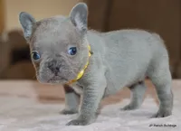 processed/bd1a1b26-e8a7-4cde-8e6b-a82d946fb78e/listing/accd9ebe-458e-4289-bce3-a09487c5f156/fc4b4a01-9f6b-4bd8-9590-dd34ad10157e