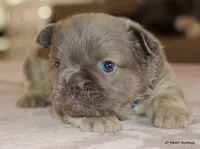 processed/bd1a1b26-e8a7-4cde-8e6b-a82d946fb78e/listing/c9c41bfd-2ba5-4077-84f2-a13cb7ee1d6c/07043fb8-0a0d-4106-82d2-45191e12cb8d