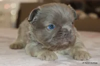 processed/bd1a1b26-e8a7-4cde-8e6b-a82d946fb78e/listing/c9c41bfd-2ba5-4077-84f2-a13cb7ee1d6c/07e4e8dc-5625-4492-9cb6-d14c47bda026