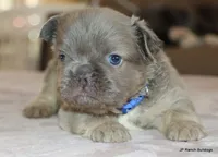 processed/bd1a1b26-e8a7-4cde-8e6b-a82d946fb78e/listing/c9c41bfd-2ba5-4077-84f2-a13cb7ee1d6c/19d13140-68f7-45a2-8771-a130ef33d7d3