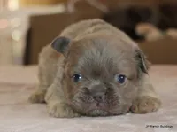 processed/bd1a1b26-e8a7-4cde-8e6b-a82d946fb78e/listing/c9c41bfd-2ba5-4077-84f2-a13cb7ee1d6c/2a7a4e56-741e-4a6a-99fc-6eec0d54add7