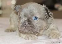 processed/bd1a1b26-e8a7-4cde-8e6b-a82d946fb78e/listing/c9c41bfd-2ba5-4077-84f2-a13cb7ee1d6c/41175300-9b88-4a1f-b95c-417d5f8014fd