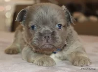 processed/bd1a1b26-e8a7-4cde-8e6b-a82d946fb78e/listing/c9c41bfd-2ba5-4077-84f2-a13cb7ee1d6c/548e1cf7-0886-429c-a057-3dce8e07dd2c