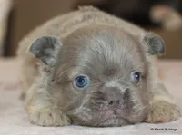 processed/bd1a1b26-e8a7-4cde-8e6b-a82d946fb78e/listing/c9c41bfd-2ba5-4077-84f2-a13cb7ee1d6c/723030bf-27ea-4769-8a56-5eb85ad30560