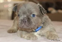 processed/bd1a1b26-e8a7-4cde-8e6b-a82d946fb78e/listing/c9c41bfd-2ba5-4077-84f2-a13cb7ee1d6c/8d65cd8d-8d42-442a-8ce4-012f39f078cb