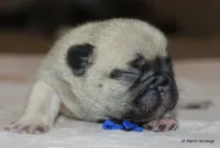 processed/bd1a1b26-e8a7-4cde-8e6b-a82d946fb78e/listing/e6e201de-2e92-412f-8f53-87b28ecd0db7/145c9be0-5226-4204-8e17-f439cda77dc1