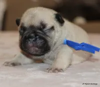 processed/bd1a1b26-e8a7-4cde-8e6b-a82d946fb78e/listing/e6e201de-2e92-412f-8f53-87b28ecd0db7/55d2554a-1a28-43b6-a4c9-67074d54e25f