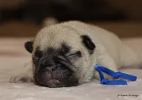 processed/bd1a1b26-e8a7-4cde-8e6b-a82d946fb78e/listing/e6e201de-2e92-412f-8f53-87b28ecd0db7/93447bef-615e-498a-ba0f-785c047be625