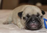 processed/bd1a1b26-e8a7-4cde-8e6b-a82d946fb78e/listing/e6e201de-2e92-412f-8f53-87b28ecd0db7/ba97684a-7dab-43c5-957b-5484634cc27c