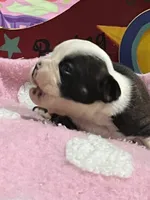 processed/bd1d6516-7e9d-4855-b17d-85bac3248ee2/listing/662658db-3bc9-48f2-bc28-b8ae95be2fc0/5d6aa56b-bed2-4612-ae8f-3cbf3bca19ca