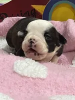 processed/bd1d6516-7e9d-4855-b17d-85bac3248ee2/listing/662658db-3bc9-48f2-bc28-b8ae95be2fc0/749da31b-c53c-41e0-b431-518a1c994331