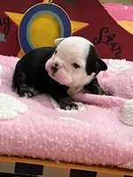 processed/bd1d6516-7e9d-4855-b17d-85bac3248ee2/listing/662658db-3bc9-48f2-bc28-b8ae95be2fc0/aafdbb26-87be-4cb3-b264-7ee8a461df2a