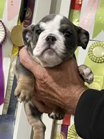 processed/bd1d6516-7e9d-4855-b17d-85bac3248ee2/listing/e158108c-2f67-4185-ae79-77edc8f39da2/07db05ef-b250-4d22-ba15-e92843541cf7