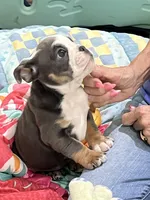 processed/bd1d6516-7e9d-4855-b17d-85bac3248ee2/listing/e158108c-2f67-4185-ae79-77edc8f39da2/788c7f36-431e-4c39-8cd1-4127834893fb