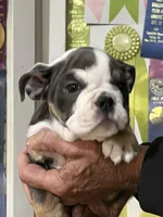 processed/bd1d6516-7e9d-4855-b17d-85bac3248ee2/listing/e158108c-2f67-4185-ae79-77edc8f39da2/9ccdcbf8-05ba-4ef3-9ad2-644dff7cae9b